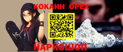 Альфа ПВП Можга