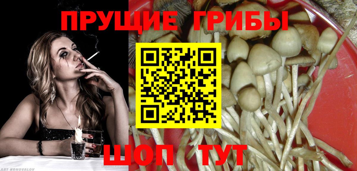 Усть-Илимск  Псилоцибиновые грибы мицелий  Вход с VPN 